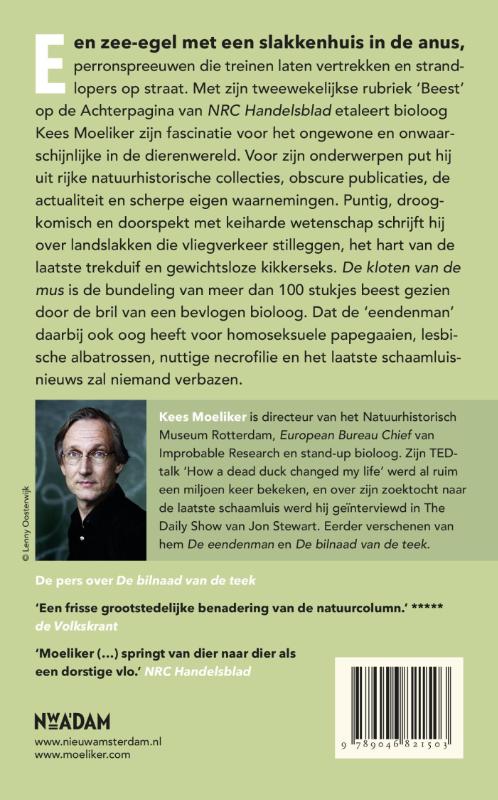Achterkant van De kloten van de mus