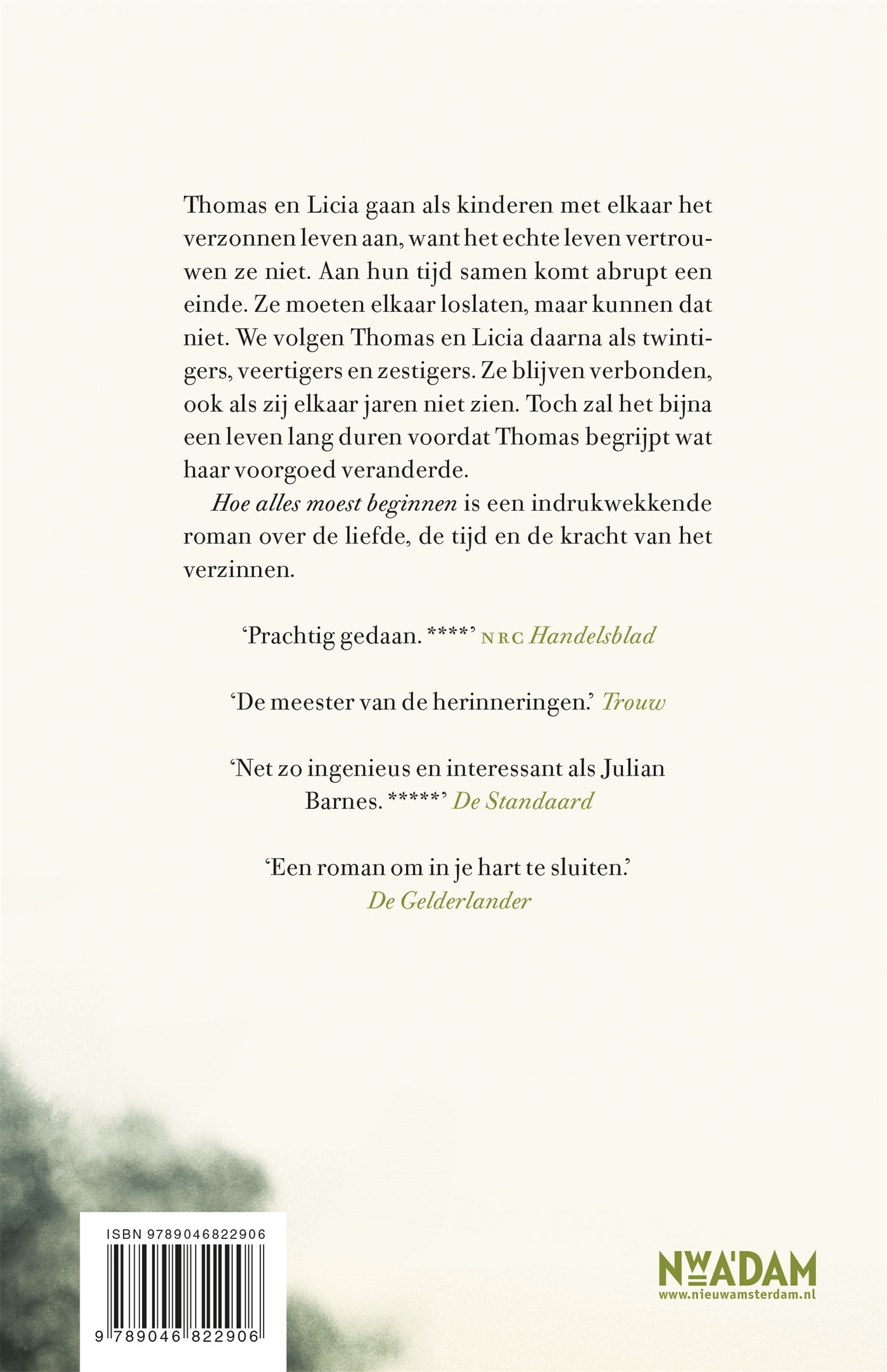 Achterkant van Hoe alles moest beginnen