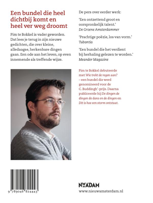 Achterkant van Dit en alles en heel het heelal