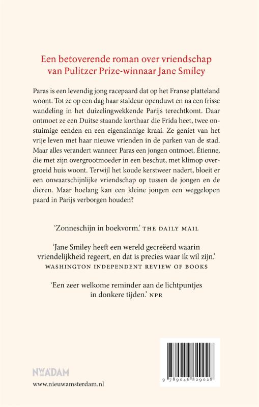 Achterkant van Een winter in Parijs
