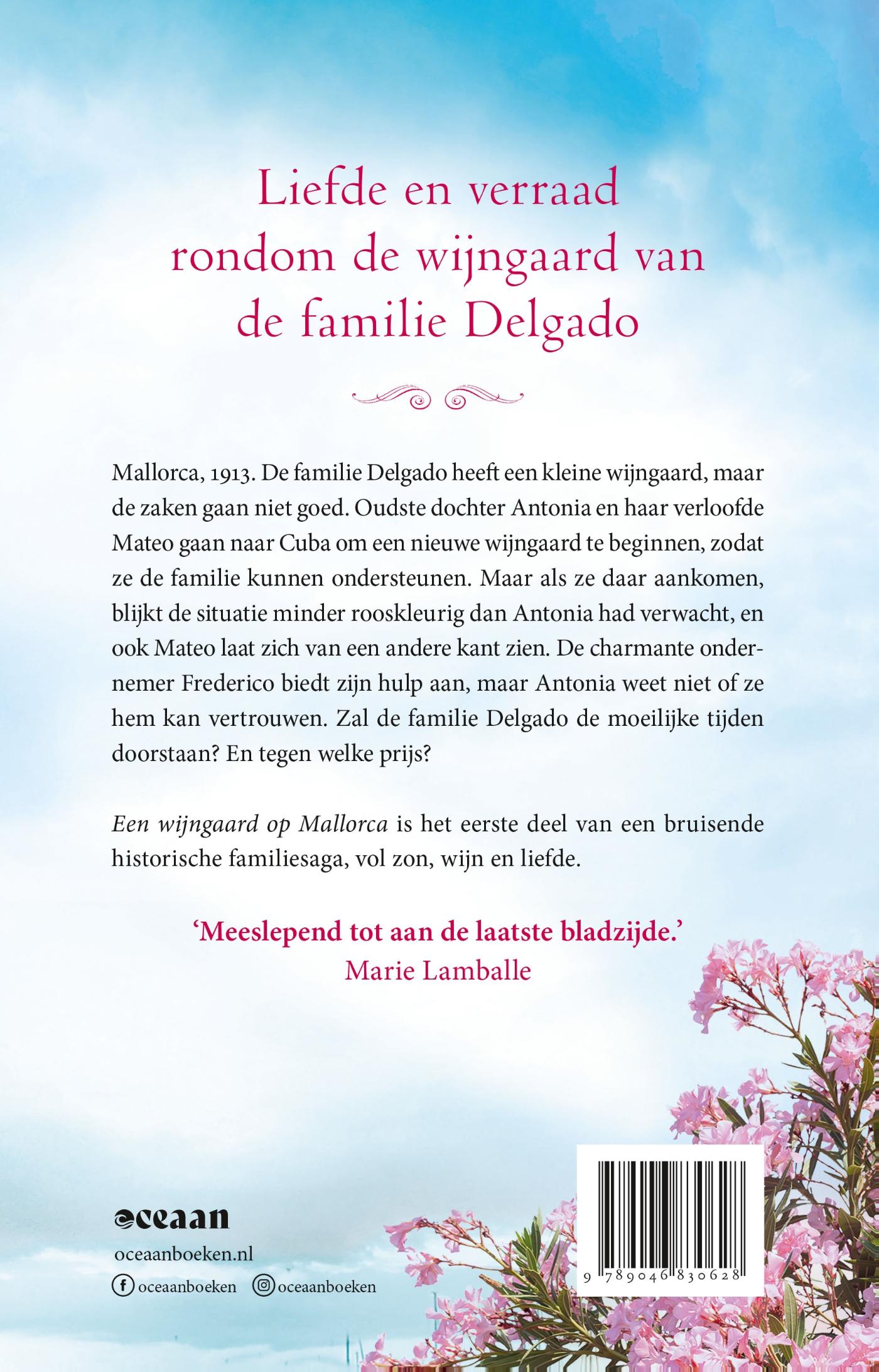 Achterkant van Een wijngaard op Mallorca
