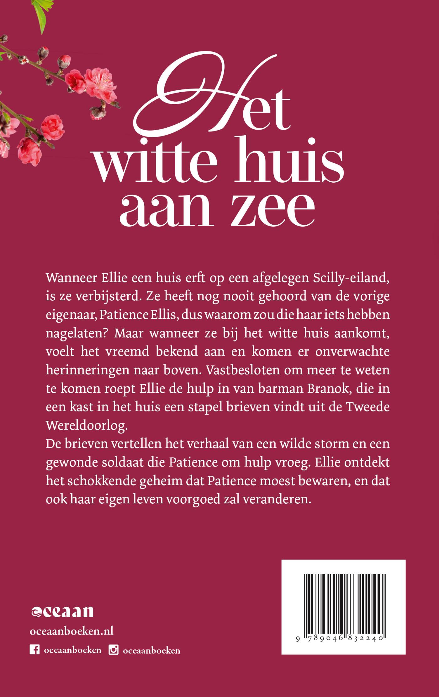 Achterkant van Het witte huis aan zee