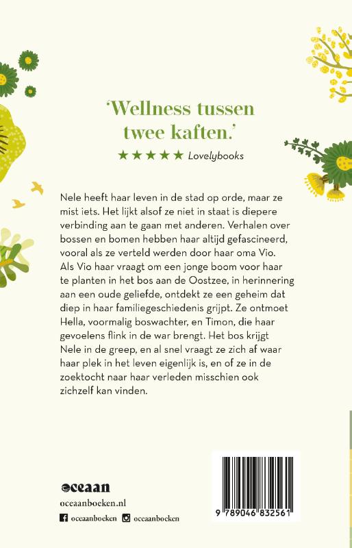 Achterkant van Het licht in de bomen