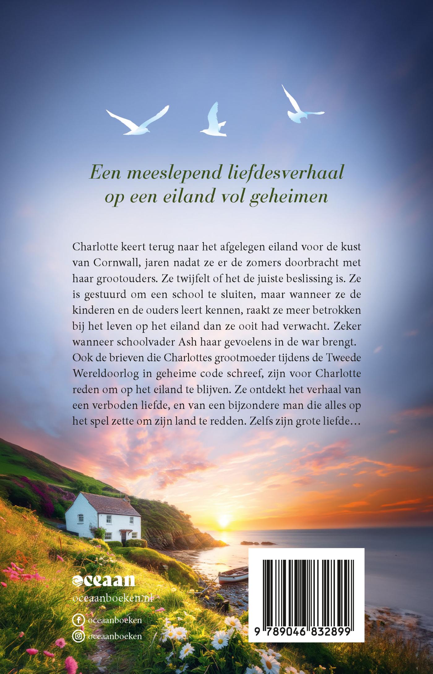 Achterkant van Geheimen op het eiland