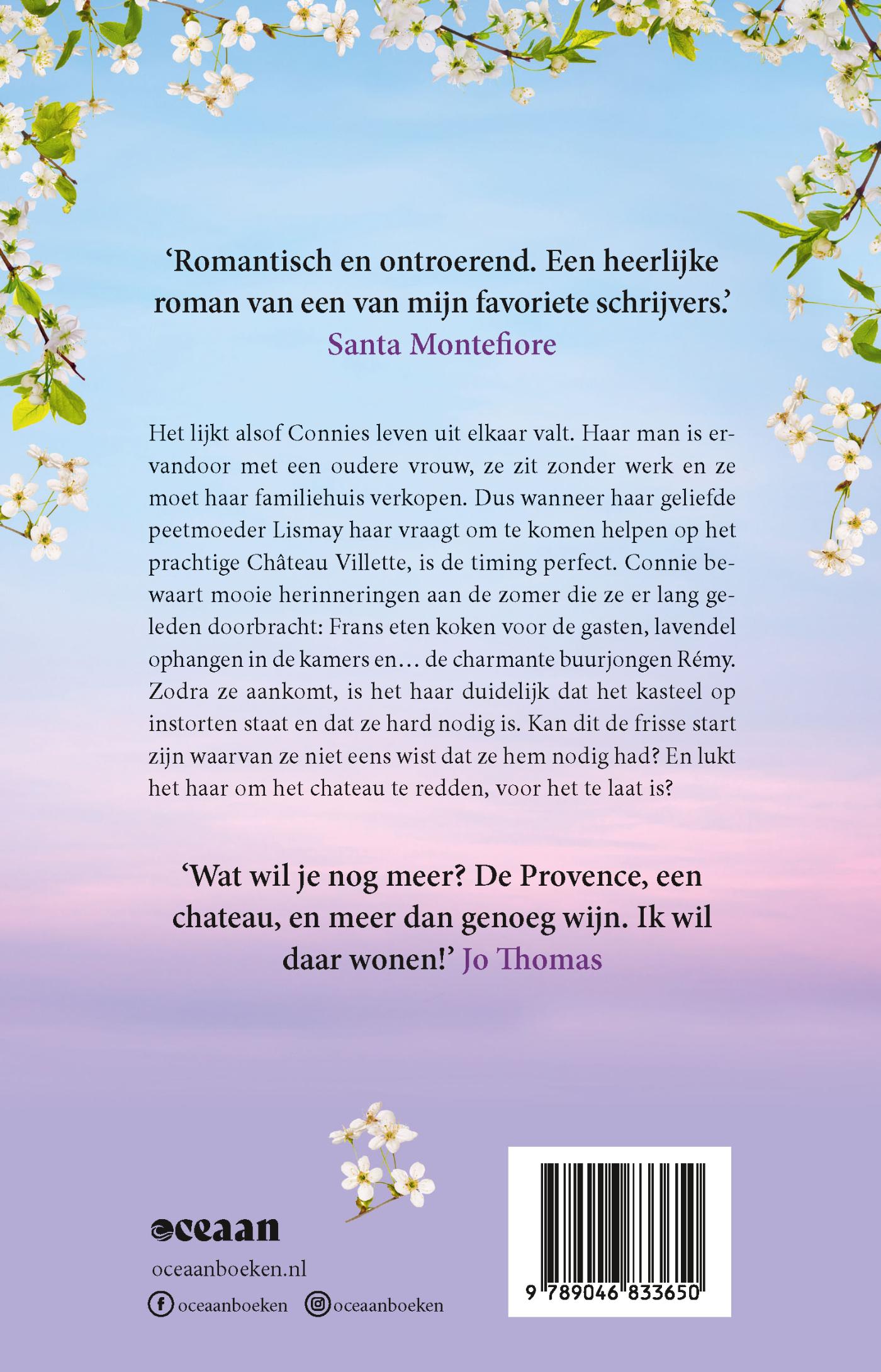 Achterkant van Een nacht op het chateau