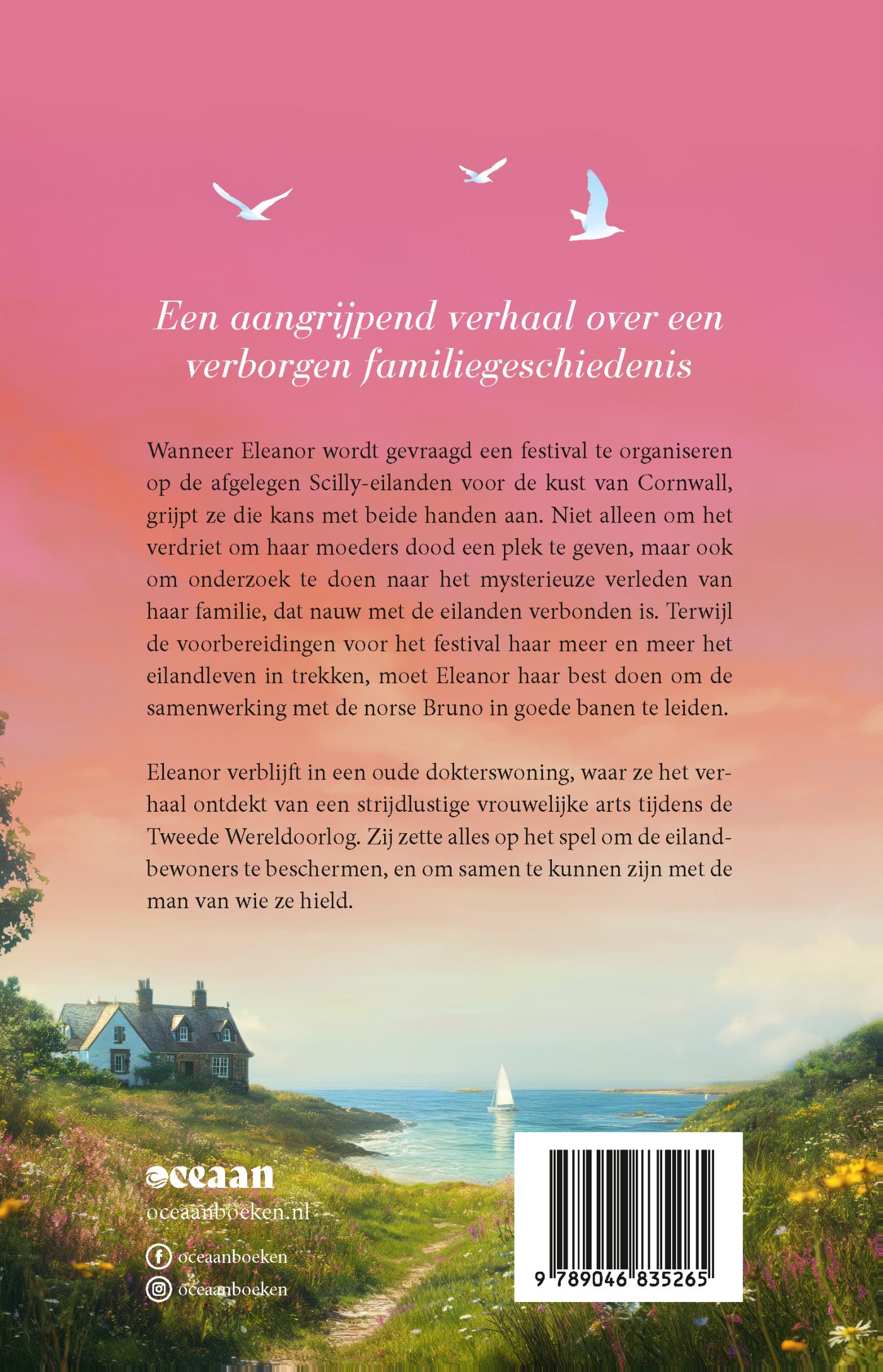 Achterkant van Een ontmoeting op het eiland