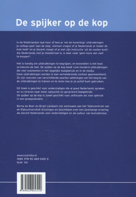 Achterkant van De spijker op de kop
