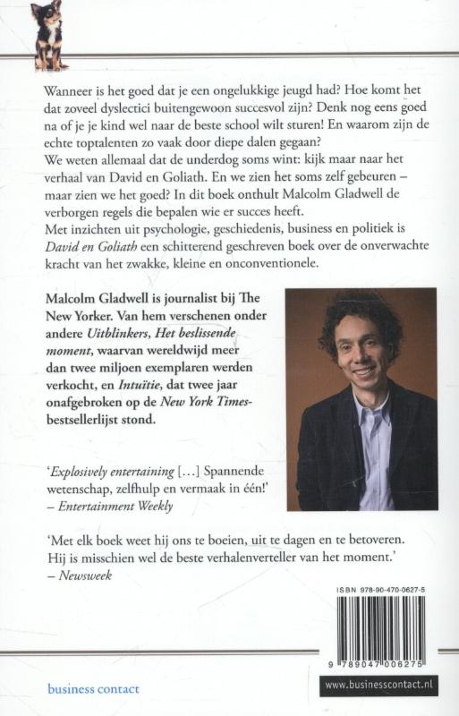 Achterkant van David en Goliath