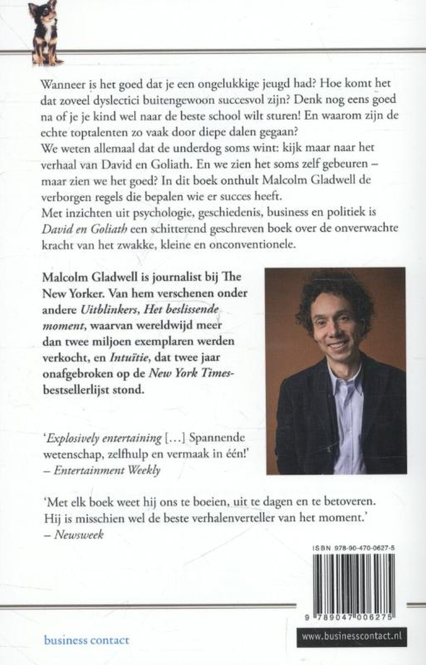 Achterkant van David en Goliath
