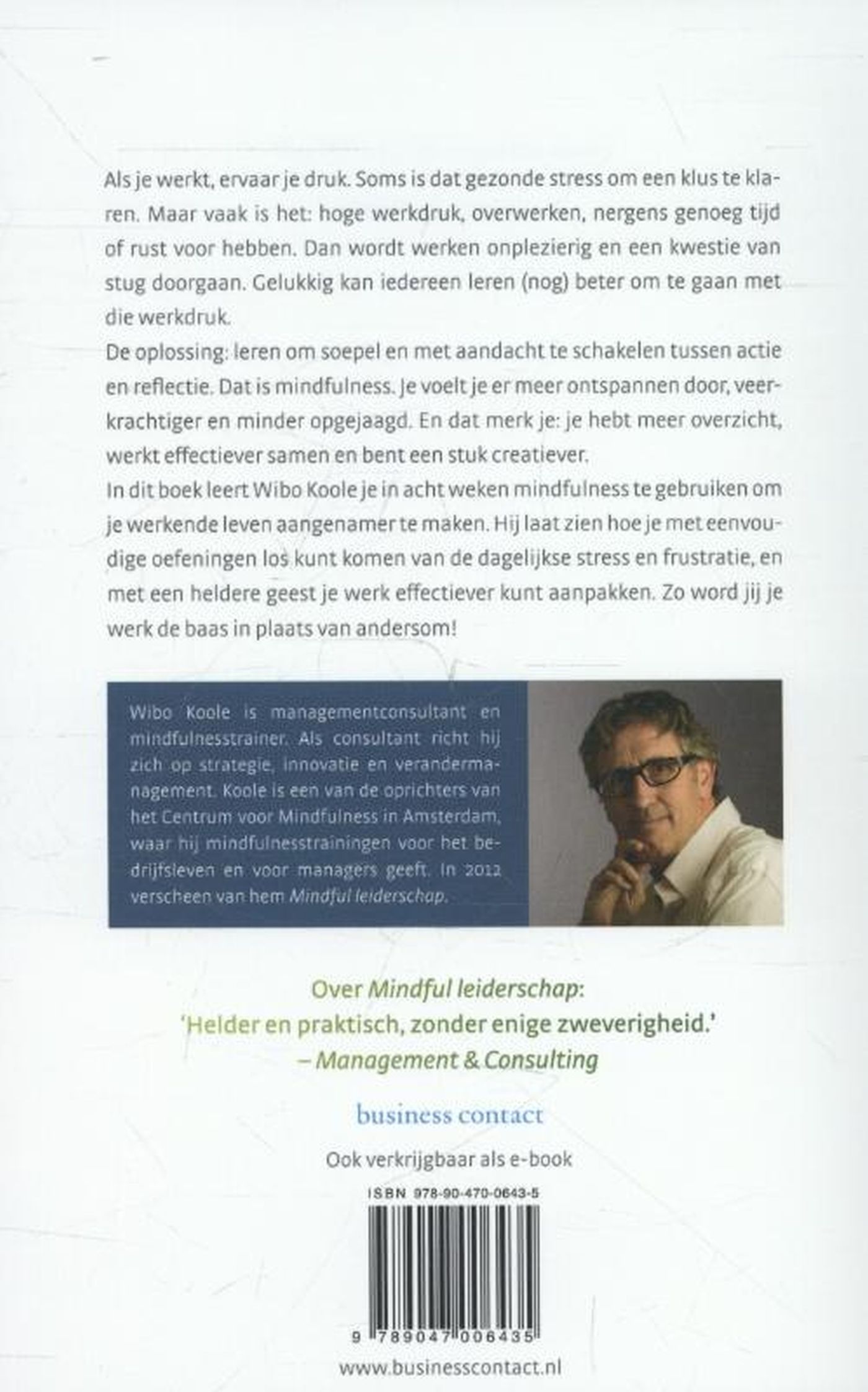 Achterkant van Mindful werken