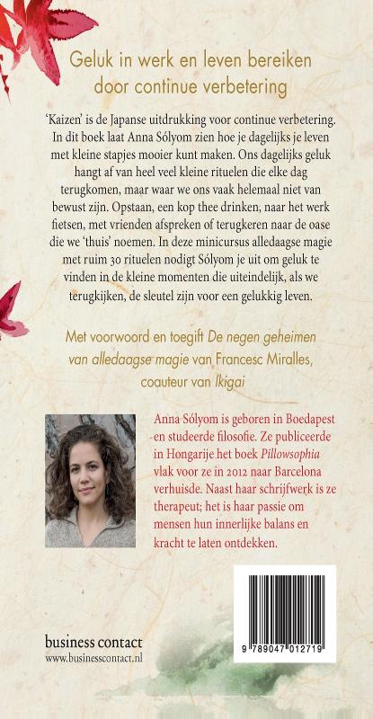 Achterkant van Kaizen