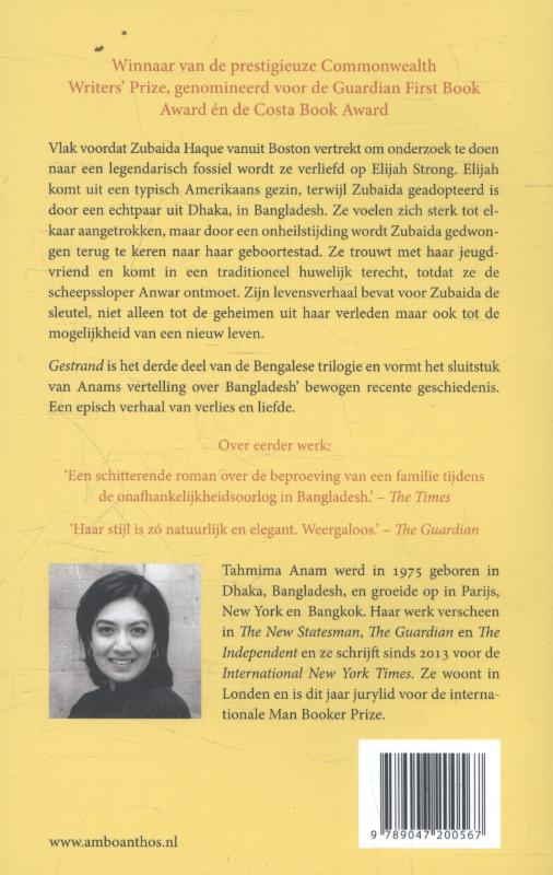Achterkant van Gestrand
