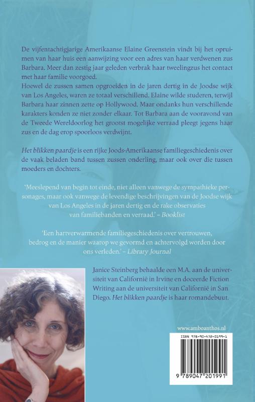 Achterkant van Het blikken paardje