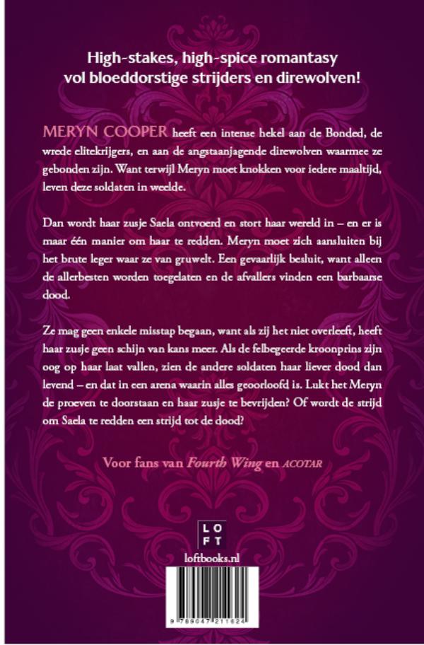 Achterkant van Dire Bound