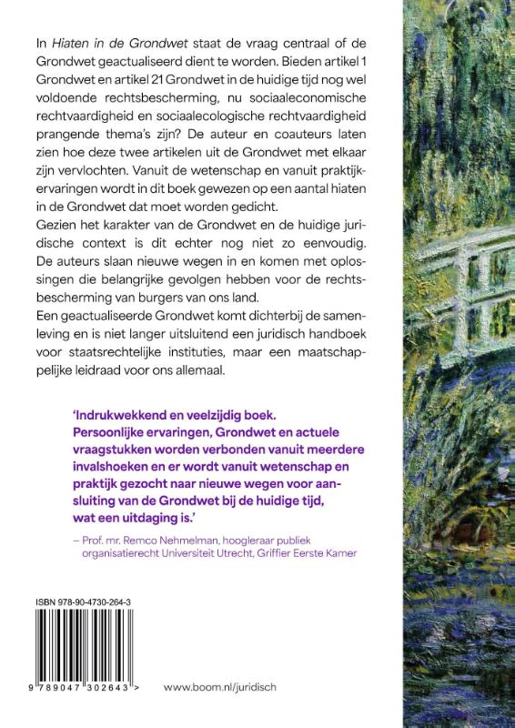 Achterkant van Hiaten in de Grondwet