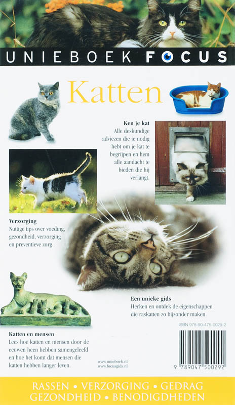 Achterkant van Katten