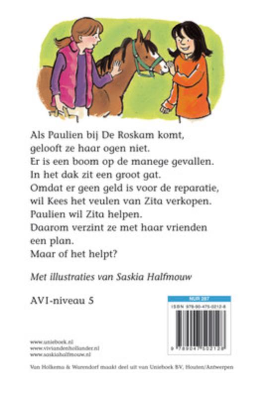 Achterkant van De mooiste pony's van stal
