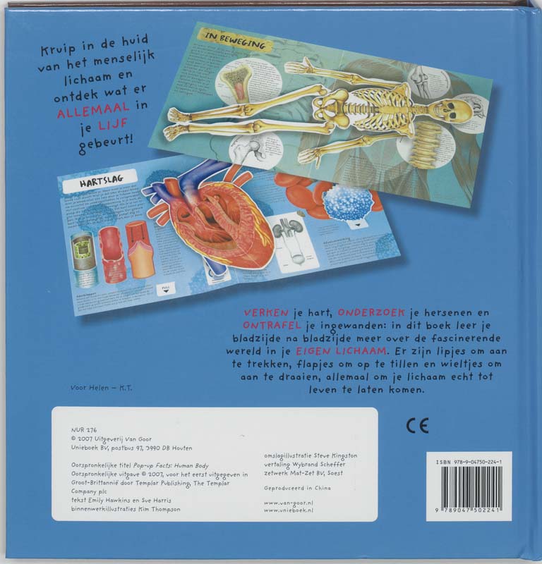 Achterkant van Anatomie