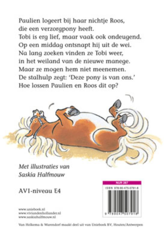 Achterkant van Een pony met streken