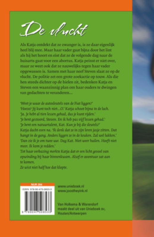 Achterkant van De vlucht