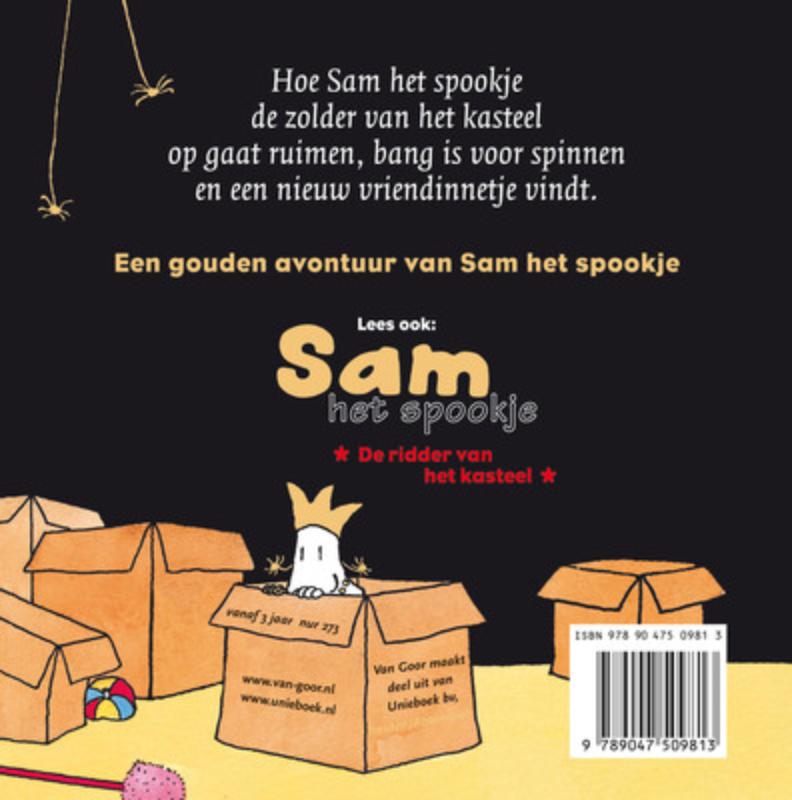 Achterkant van De speelgoedprinses