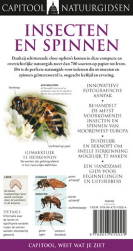 Achterkant van Insecten en spinnen