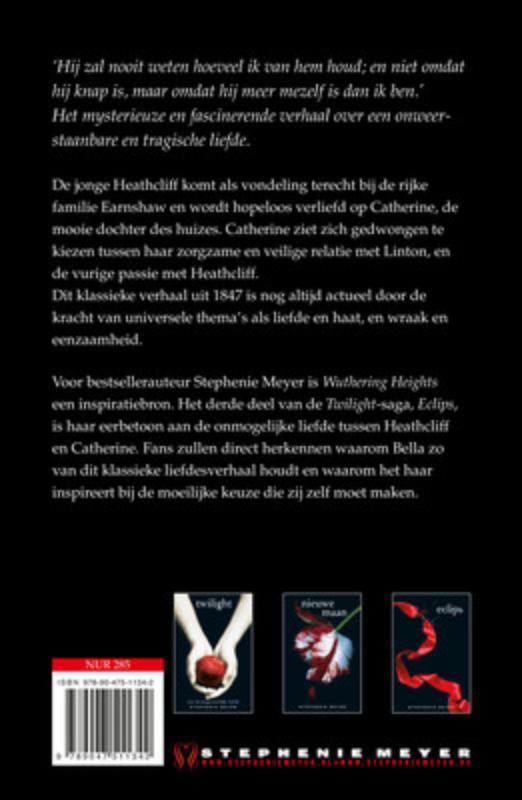 Achterkant van Woeste hoogten