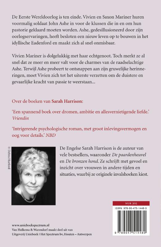 Achterkant van vlucht zwaluwen