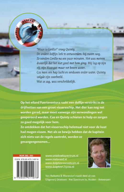 Achterkant van Dolfijn gewond