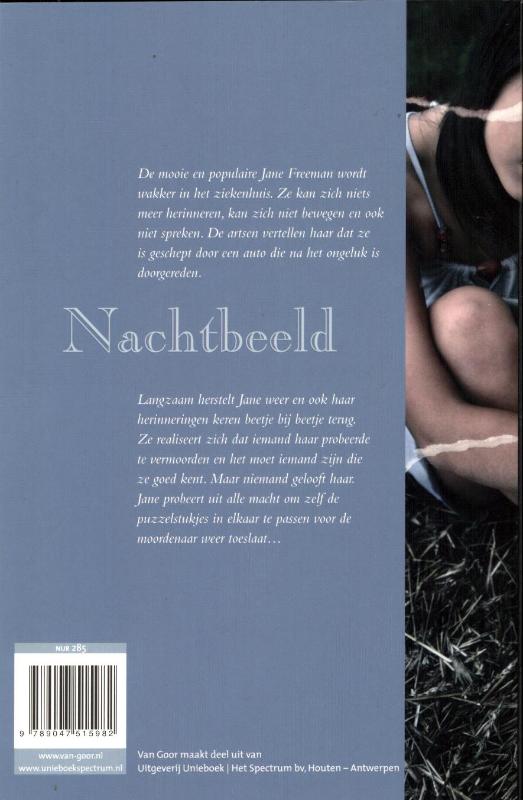 Achterkant van Nachtbeeld