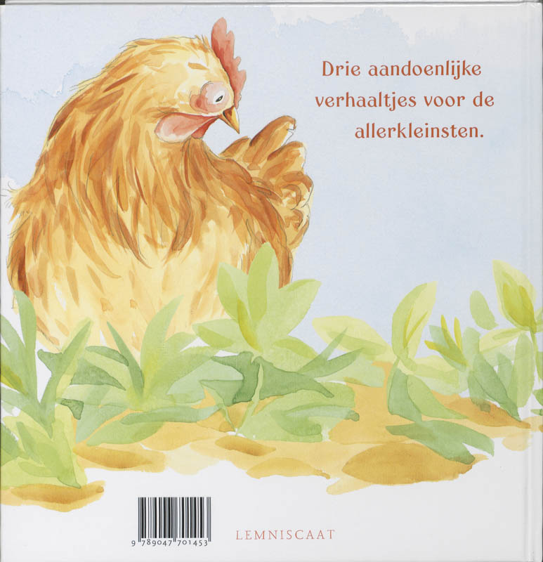 Achterkant van Kuikentje kip