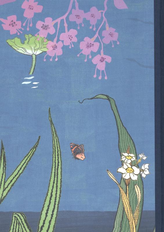 Achterkant van Andersen
