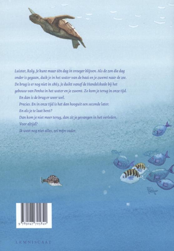 Achterkant van De duik