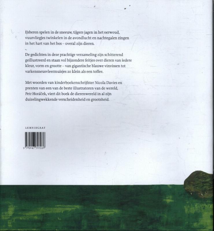 Achterkant van Zo mooi zijn dieren
