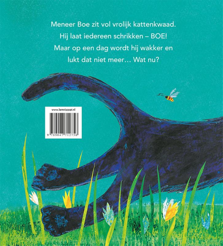Achterkant van Meneer boe!
