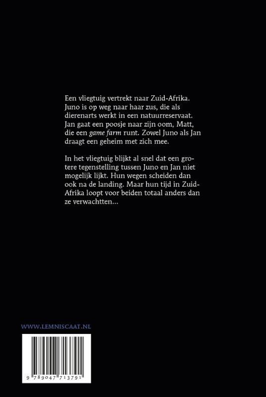 Achterkant van Ivoren maan