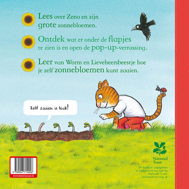 Achterkant van Zeno zaait een zonnebloem