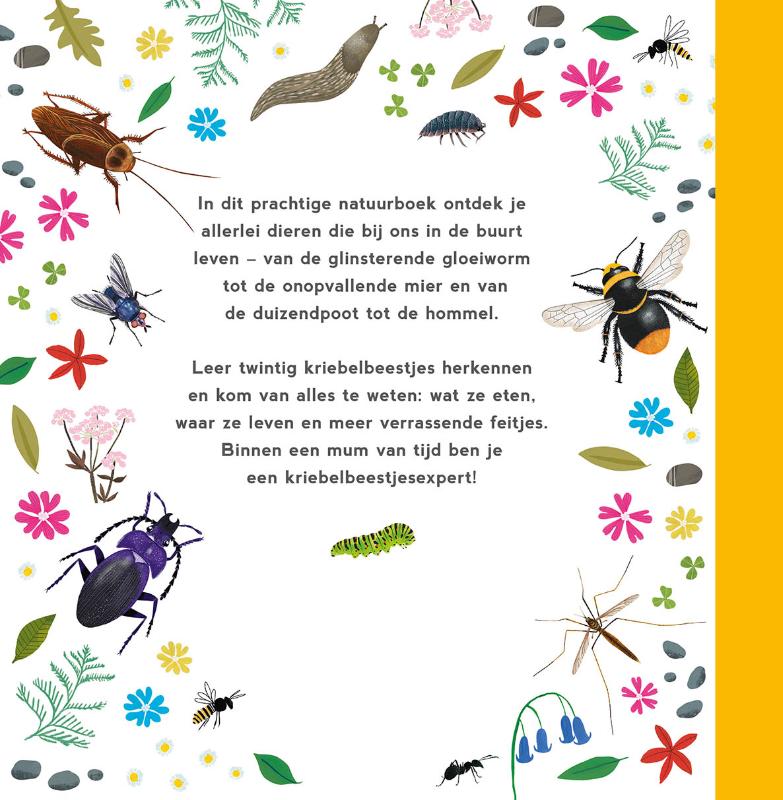 Achterkant van Mijn eerste kriebelbeestjesboek