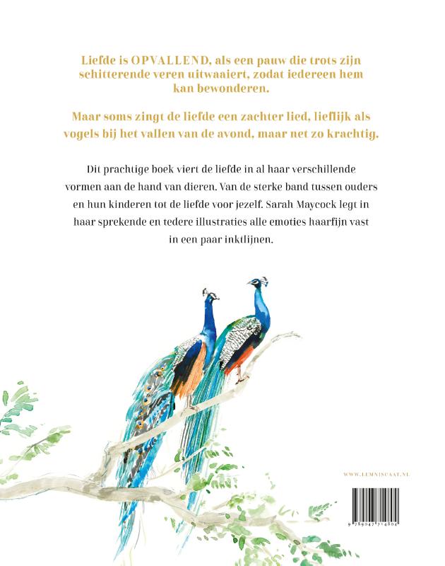 Achterkant van Liefde is…