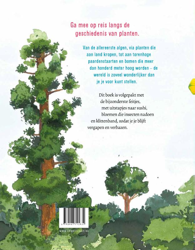 Achterkant van De plant die aan land kroop