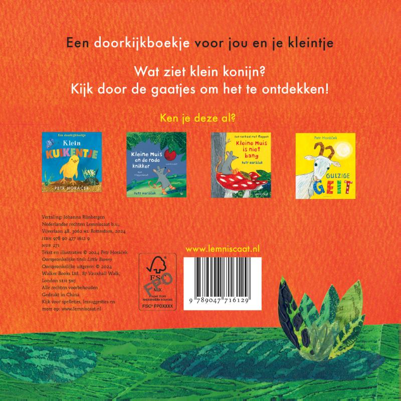 Achterkant van Klein konijn