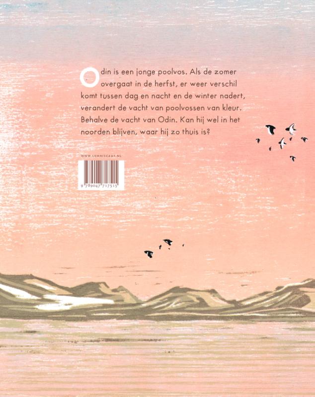 Achterkant van Odin