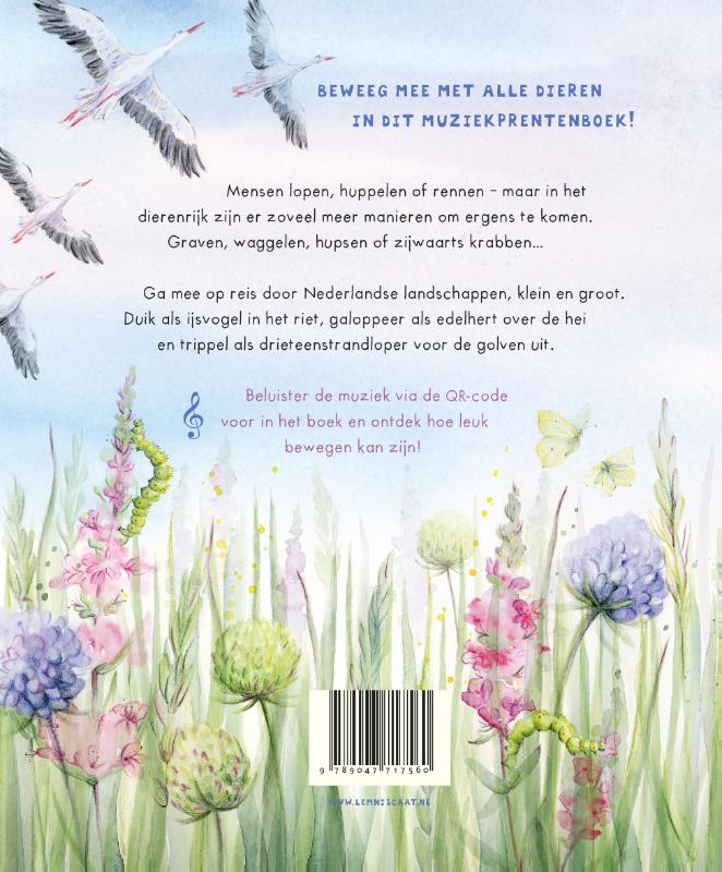 Achterkant van Waggel, fladder, hups!