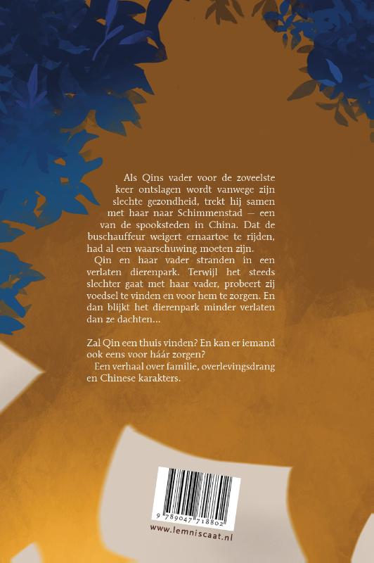 Achterkant van De schat van Schimmenstad