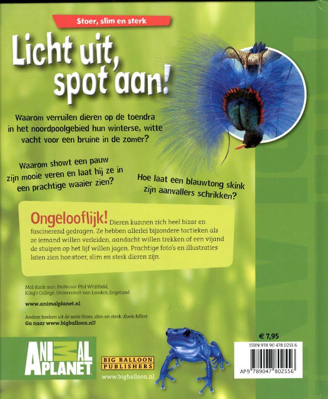 Achterkant van 1 licht uit, spot aan!