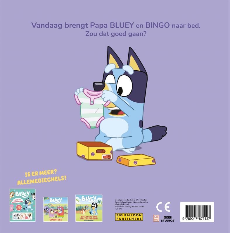 Achterkant van Bedtijd met Papa