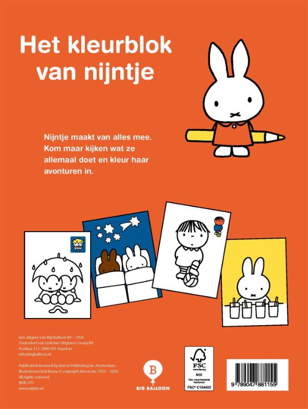 Achterkant van Nijntje kleurblok