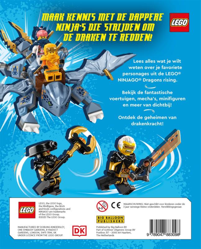 Achterkant van Dragons Rising