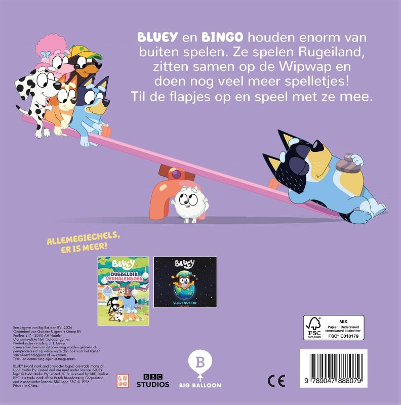 Achterkant van Buitenspelletjes