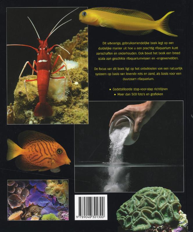Achterkant van Het rifaquarium
